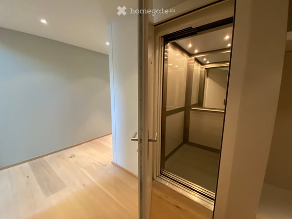 Grosszügige 4-Zimmer-Maisonette-Wohnung im Loft-Stil an der Zentralstrasse, Zürich 12