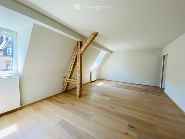 Grosszügige 4-Zimmer-Maisonette-Wohnung im Loft-Stil an der Zentralstrasse, Zürich 14