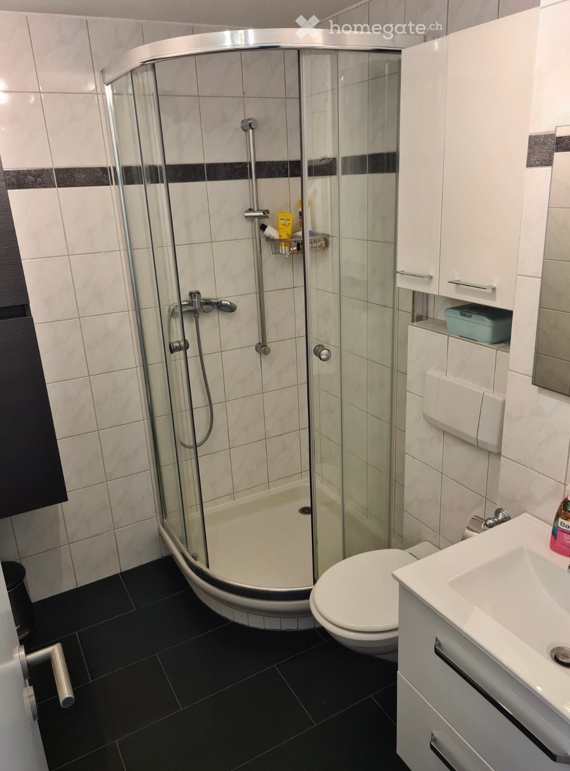 Modern bathroom with a glass-enclosed shower, toilet, sink, and white cabinetry.