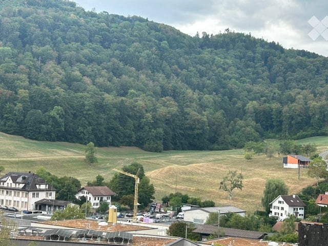 A panoramic view of a rural area with scattered houses, a construction crane, and a dense forested hill in the background.