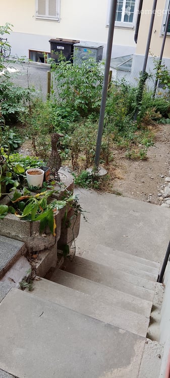 Helle 1.5-Zimmer-Wohnung mit Privato Garten in Wabern 10