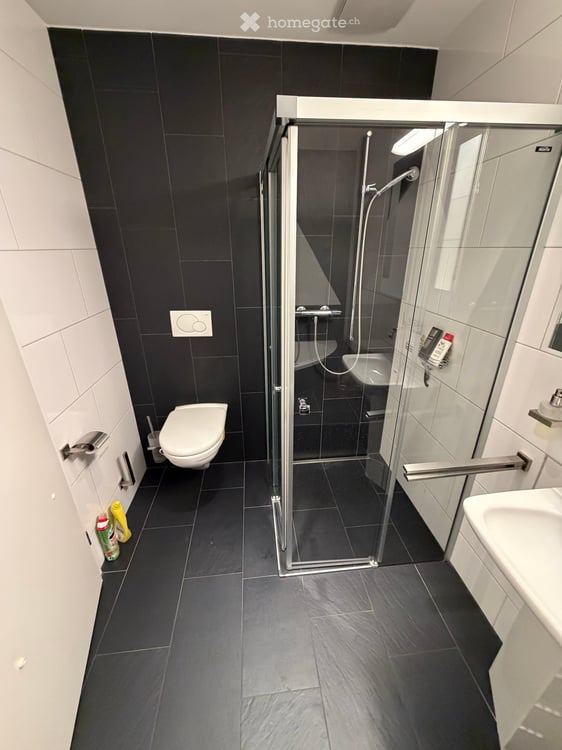 Wunderschöne 3.5-Zimmer-Wohnung direkt am See im Hafen Thal / Staad SG 17