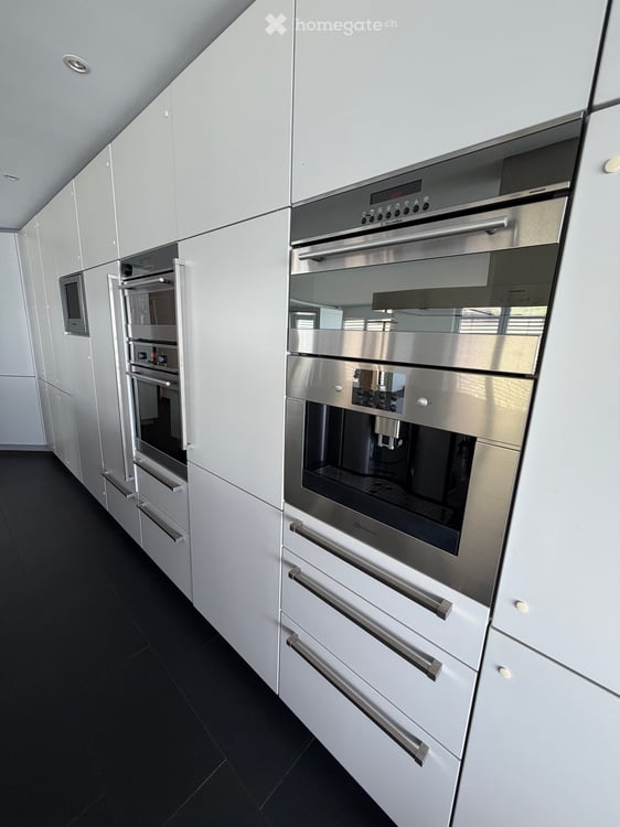 Wunderschöne 3.5-Zimmer-Wohnung direkt am See im Hafen Thal / Staad SG 8