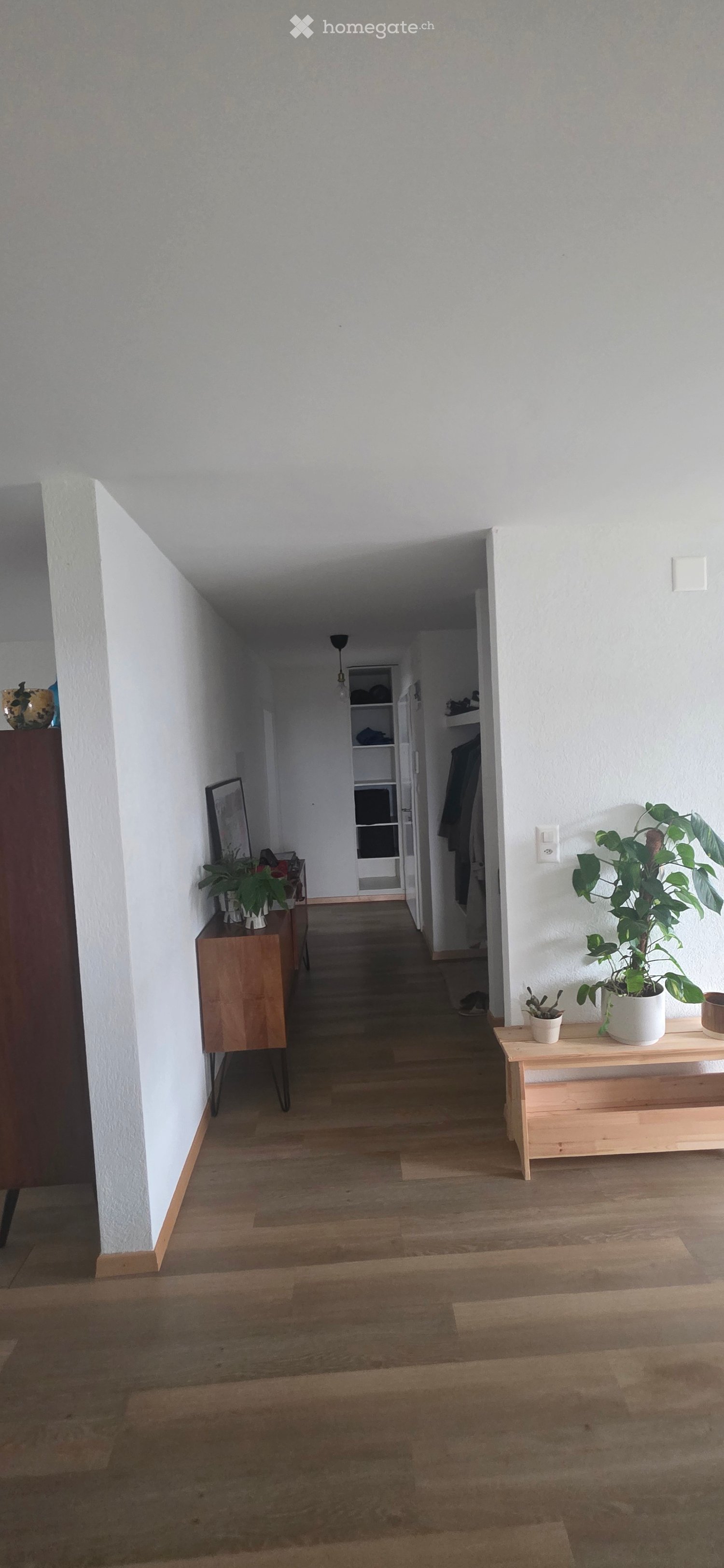 A narrow hallway with light wooden flooring, white walls, and minimal furnishings including a small wooden bench with potted plants and a small table with additional plants and a framed picture. A closet with open shelving is visible at the end of the hal