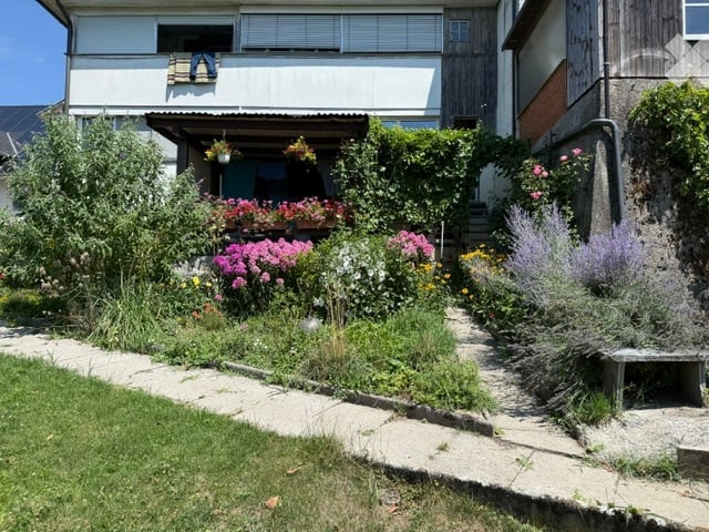 Well-maintained garden with colorful flowers, shrubs, and a stone pathway leading to a house entrance.
