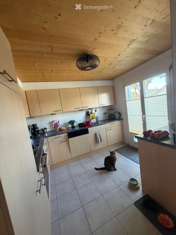 Charmante 1-Zimmer-Wohnung in Buch am Irchel – ruhig, modern und tierfreundlich 7
