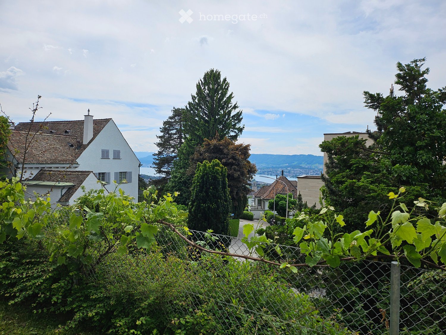 View of a residential area with houses, trees, and a scenic backdrop of mountains and a lake.