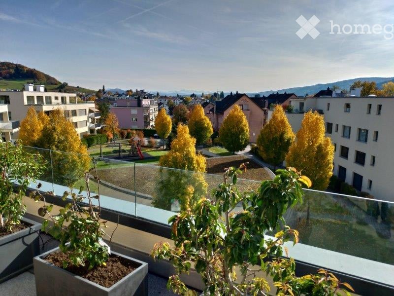 Balcony with glass railing, potted plants, overlooking a residential area with trees and buildings.