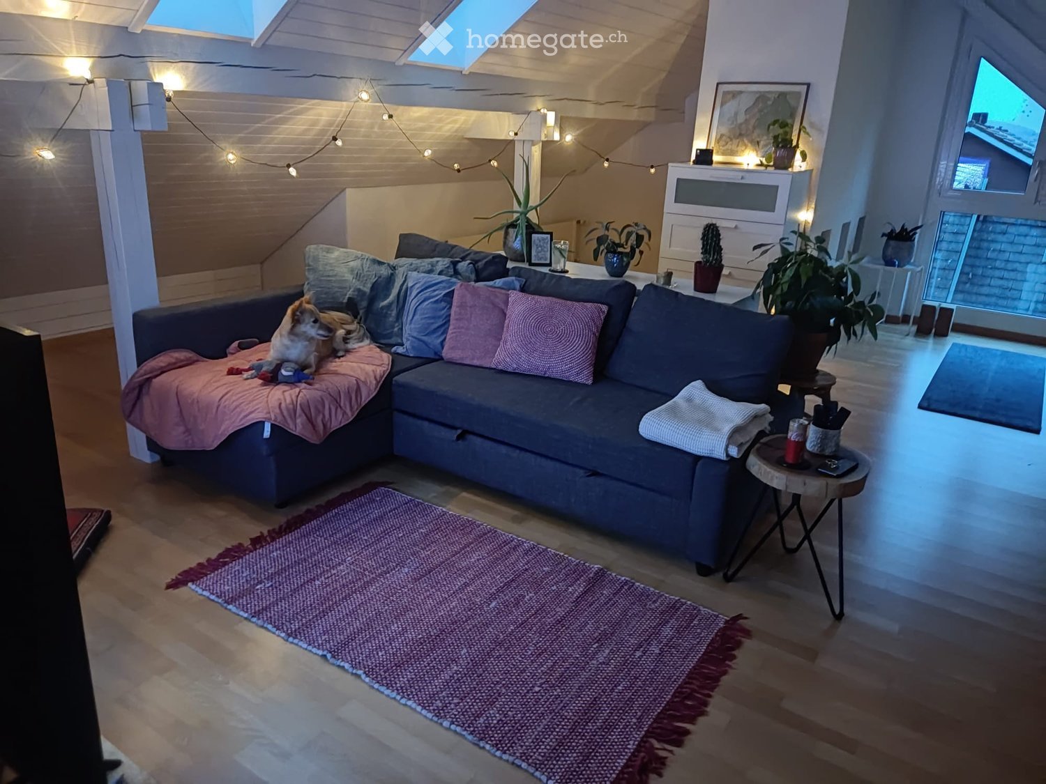 Modern living room with a grey sectional sofa, pink throw blanket, side table, small round coffee table, and potted plants. The room features wooden flooring and large windows with a view.