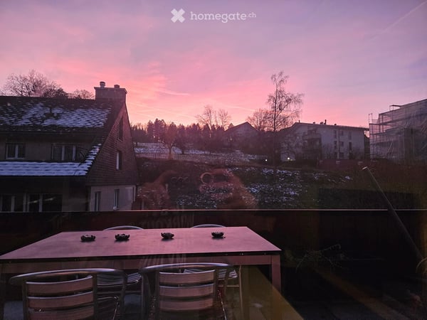 Apartment in Zürich 19
