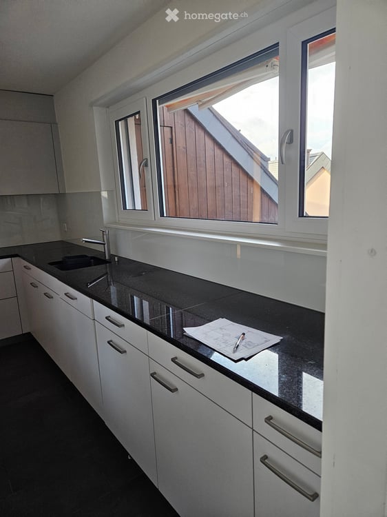 Apartment in Zürich 5