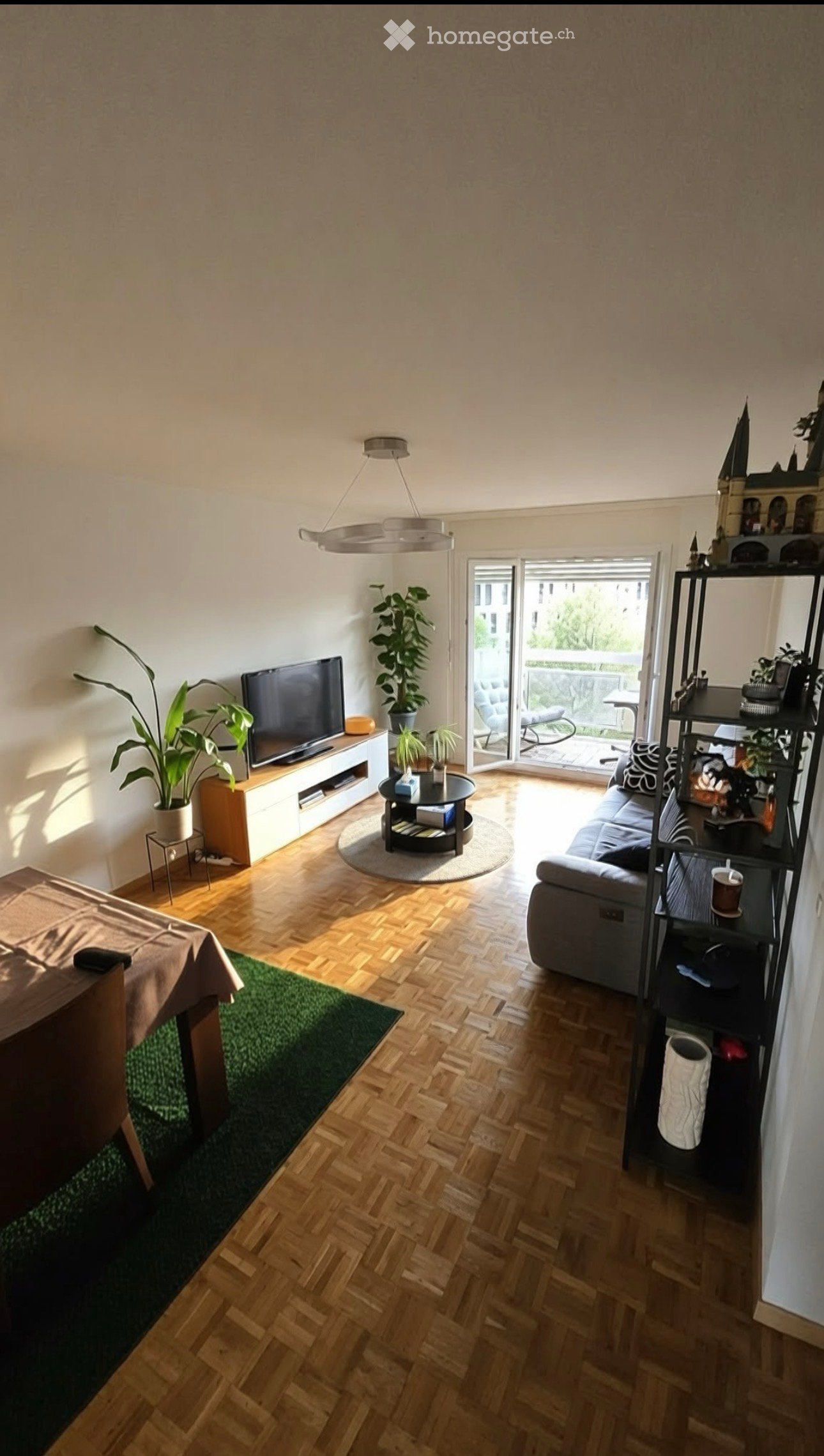 Modern living room with wooden flooring, large windows, a grey sofa, coffee table, TV, floor lamp, and plants.