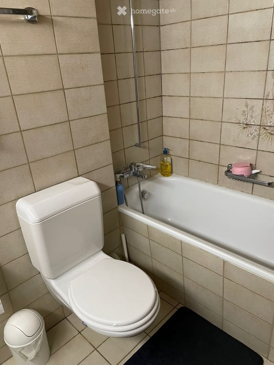 Attraktive ruhige sonnige und sehr zentral gelegene 3-Zimmer-Gartenwohnung (unbefristet) 9