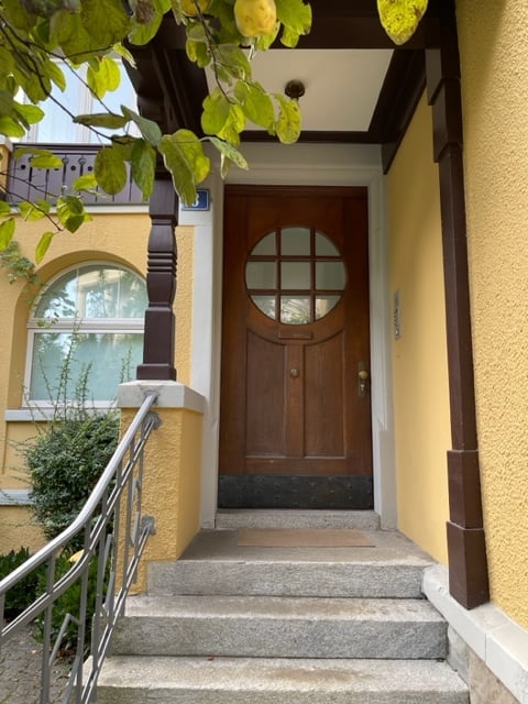 Entrance area with a raised ground floor, wooden double door with glass panels, metal handrail, and steps leading up.