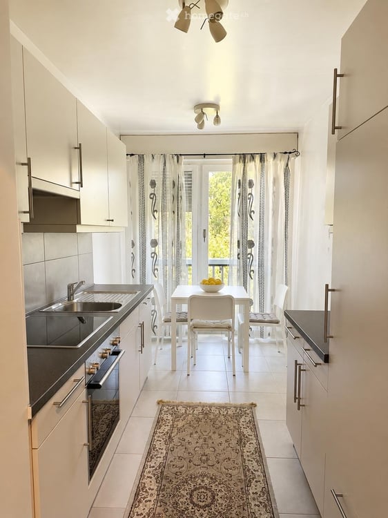 Grand 1 pieces / 16sqm / 4eme etage / Vue sur le parc 6