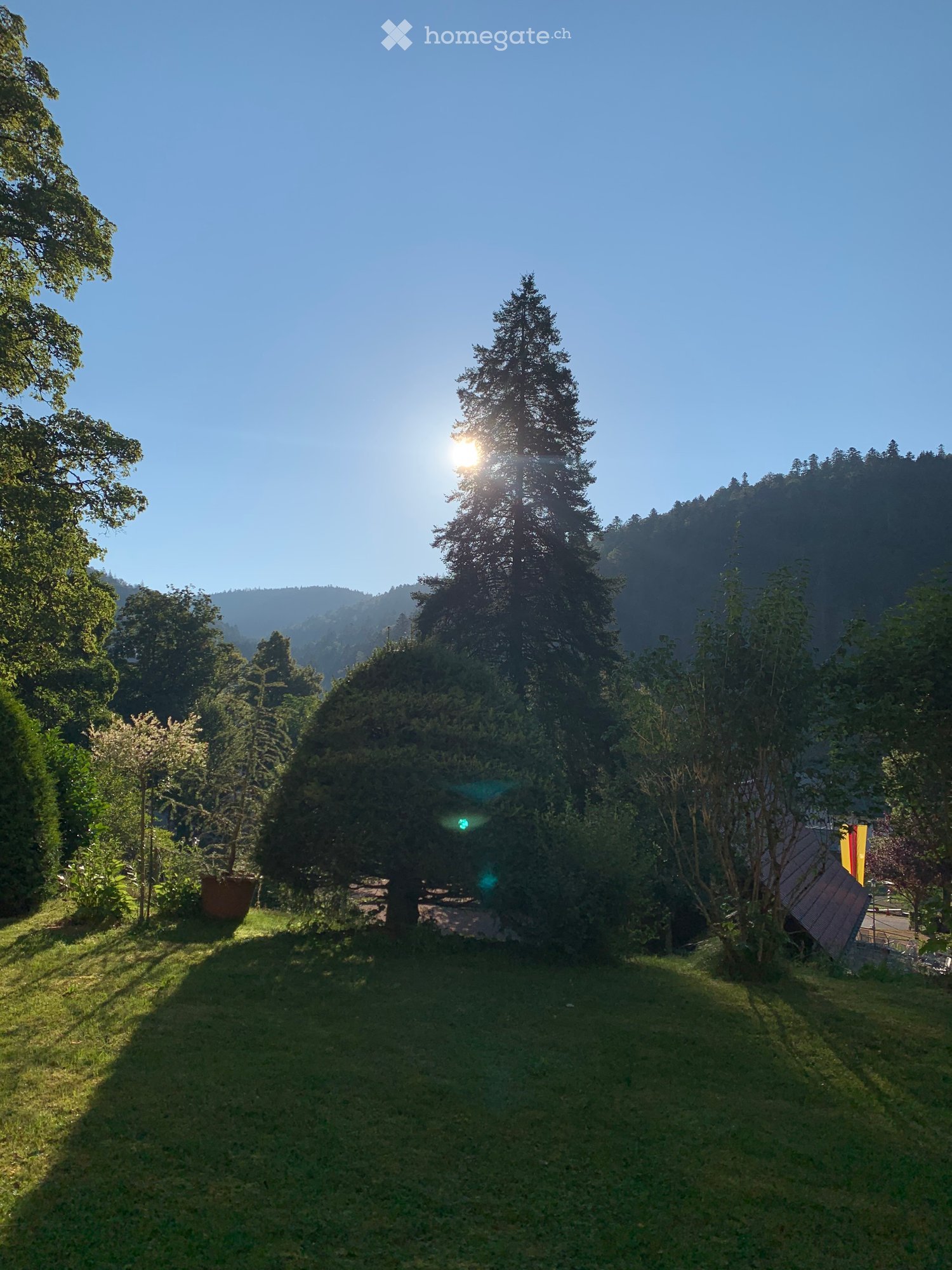 Mountains in the distance, lush green grassy area, tree, shrubs, and a house
