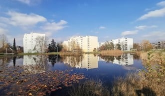 A calm outdoor area with a pond reflecting the surrounding buildings, surrounded by trees and grass.