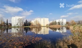 Helle 5.5-Zimmer-Wohnung mit Weitsicht im Zentrum von Volketswil