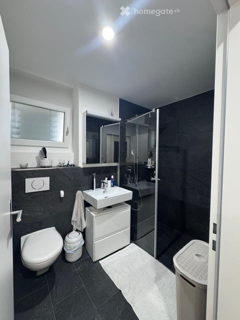 Neubau moderne 4.5 Zimmer Wohnung mit grosszügiger Terrasse 5