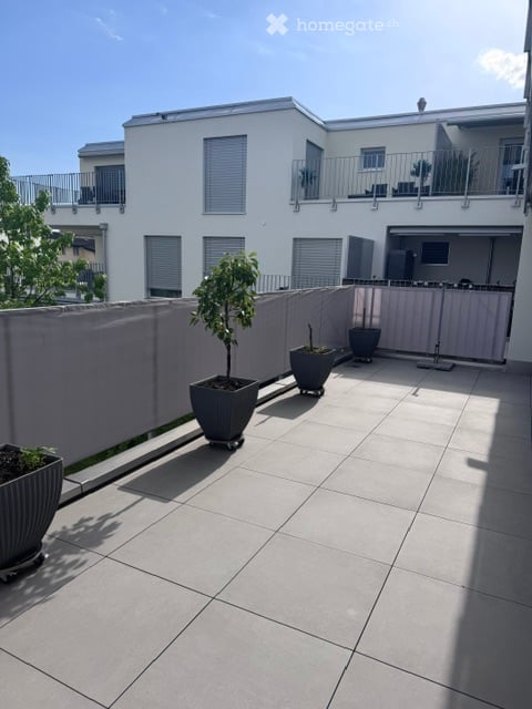 Neubau moderne 4.5 Zimmer Wohnung mit grosszügiger Terrasse 2