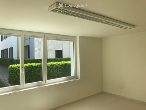 Schönes Büro im Zentrum Thalwil 3