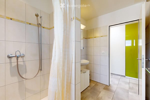 Charmante 5.5-Zimmer-Attikawohnung in Rütihof – Wohnen mit Weitblick 22
