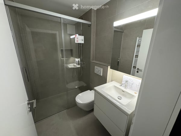 Renovierte 3.5-Zimmer-Attikawohnung mit 38 m² Terrasse 7