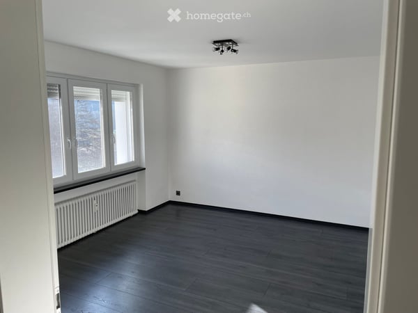 Wohnung mit grosser Terrasse und Garten 9