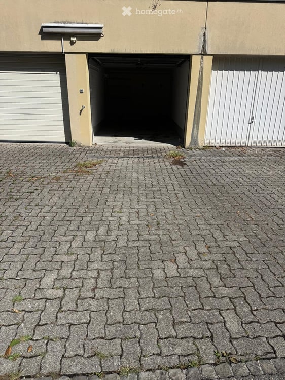Wohnung mit grosser Terrasse und Garten 13