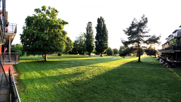 Grosszügige 2.5-Zimmer-Wohnung im Erdgeschoss mit Garten und Aussicht in Oberwil BL 2