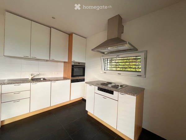 Appartamento con terrazza-giardino a Locarno Monti – 3 1/2  locali luminosi disponibili da ottobre 2