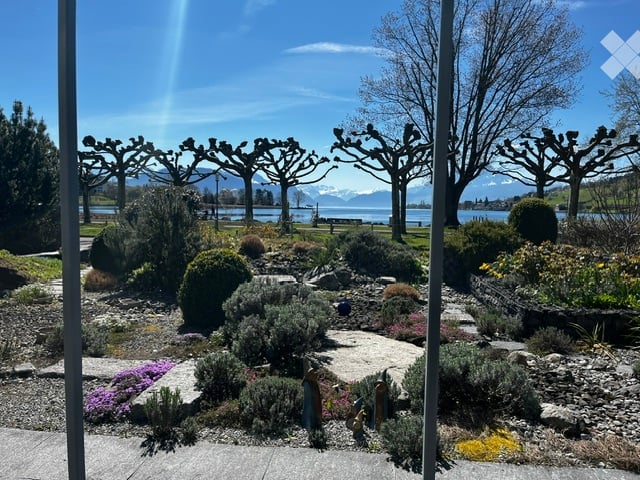Well-maintained garden with various shrubs, flowers, and trees, overlooking a lake and distant mountains.