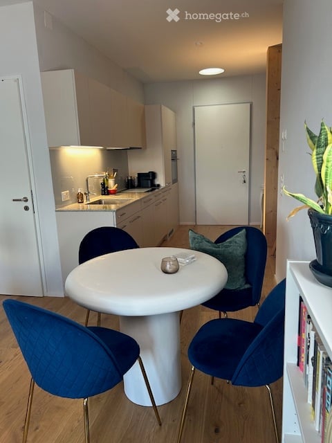 Freundliche, voll möblierte 2.5-Zimmer Wohnung mit Seesicht zur Untervermietung in Horgen Oberdorf 5