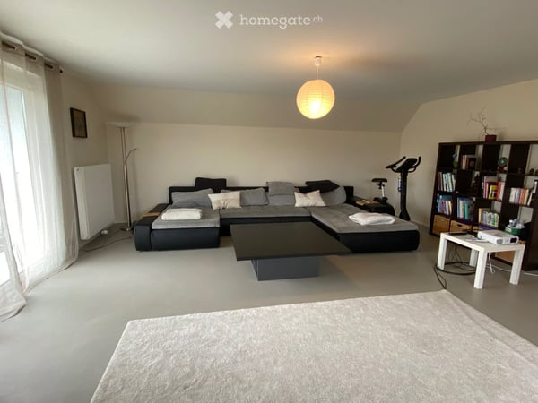 Grand appartement 2.5 pièces rénové avec terrasse dans quartier tranquille 9