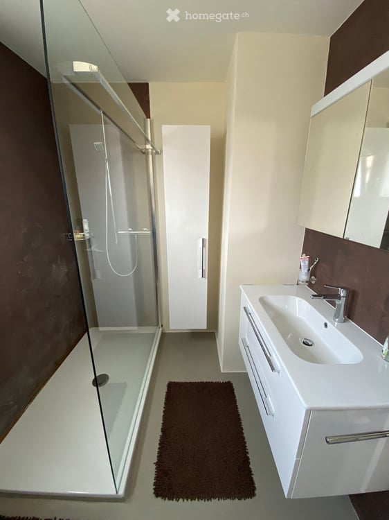 Grand appartement 2.5 pièces rénové avec terrasse dans quartier tranquille 17