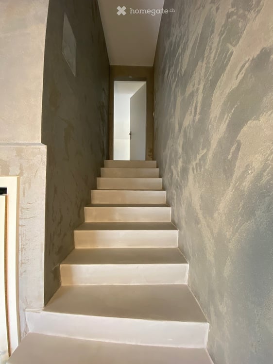 Grand appartement 2.5 pièces rénové avec terrasse dans quartier tranquille 3