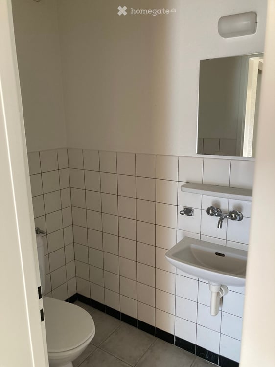 Helle 3.5-Zimmer-Wohnung mit Balkon in Zürich-Höngg inkl.Garageneinstellplatz 6
