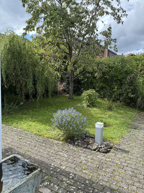 4.5-Zimmer-Flarzhausteil in Hinteregg – Natur, Garten und Stadtnähe vereint 11