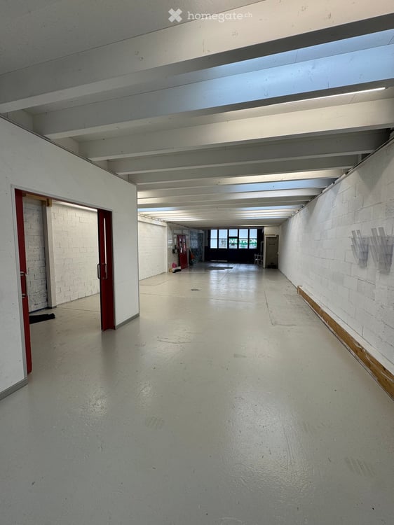 Magazzino/deposito/showroom + soppalco ( NO OFFICINA ) 4