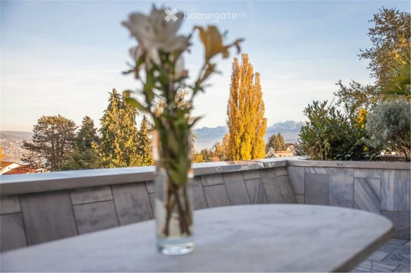 Sonnige, grosszügige 3.5 Zi-Attikawohnung mit Blick auf See und Berge 2