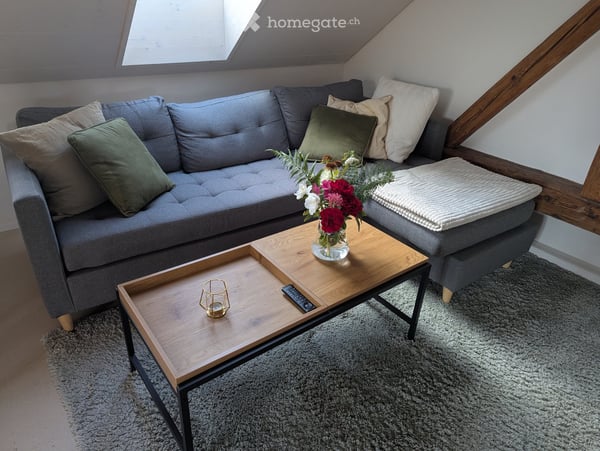 Möblierte Dachwohnung 47 qm-Zimmer-Wohnung mit Bad und Küche in ruhiger Lage – Winterthur Eidberg 6