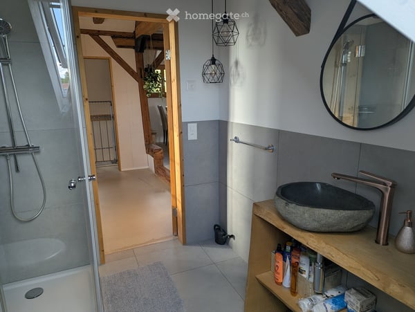 Möblierte Dachwohnung 47 qm-Zimmer-Wohnung mit Bad und Küche in ruhiger Lage – Winterthur Eidberg 17