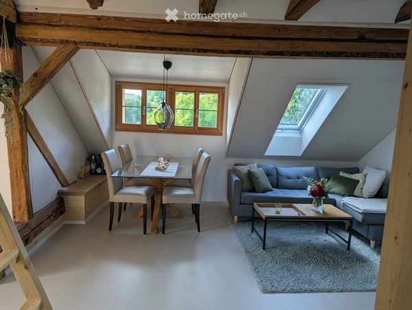 Möblierte Dachwohnung 47 qm-Zimmer-Wohnung mit Bad und Küche in ruhiger Lage – Winterthur Eidberg 16
