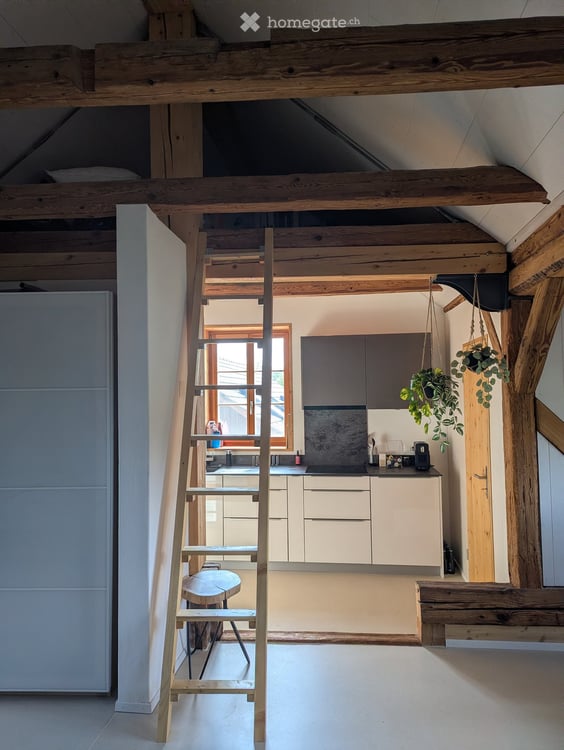 Möblierte Dachwohnung 47 qm-Zimmer-Wohnung mit Bad und Küche in ruhiger Lage – Winterthur Eidberg 15