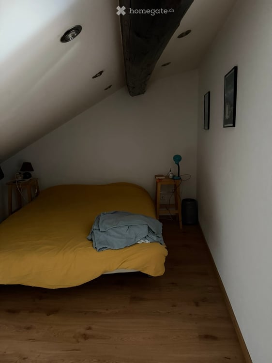 Charmant appartement-loft de 2.5 pièces avec grande terrasse et vue époustouflante 8