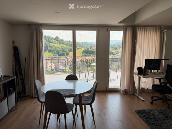 Charmant appartement-loft de 2.5 pièces avec grande terrasse et vue époustouflante 3