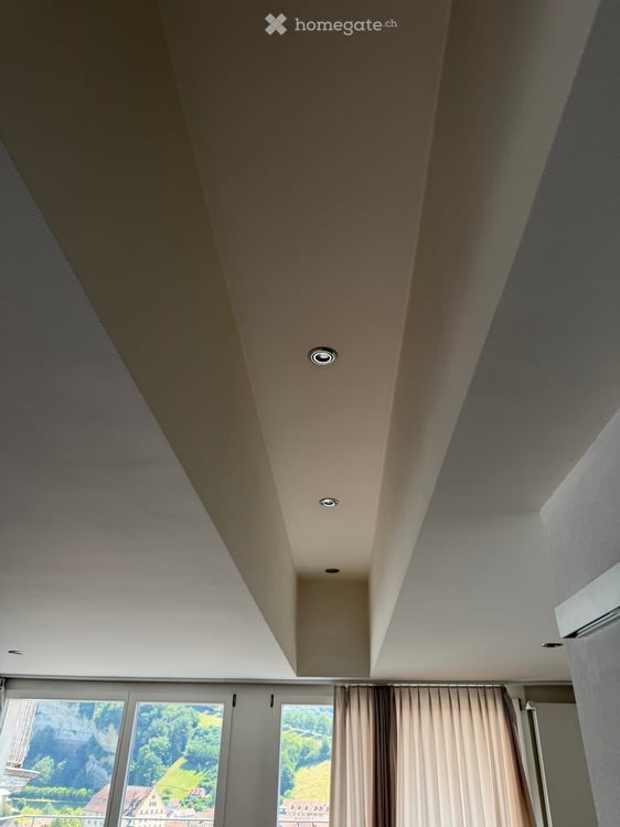 Charmant appartement-loft de 2.5 pièces avec grande terrasse et vue époustouflante 10