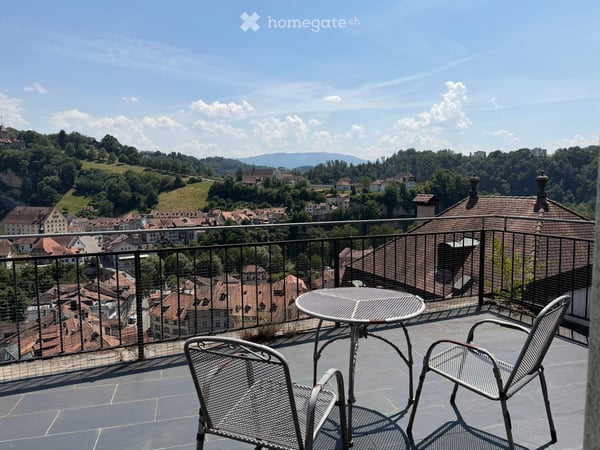 Charmant appartement-loft de 2.5 pièces avec grande terrasse et vue époustouflante 2