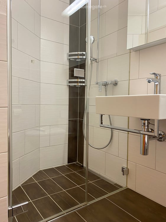 4 1/2-Zimmerwohnung (120 m²) mit Panorama-Fernsicht 9