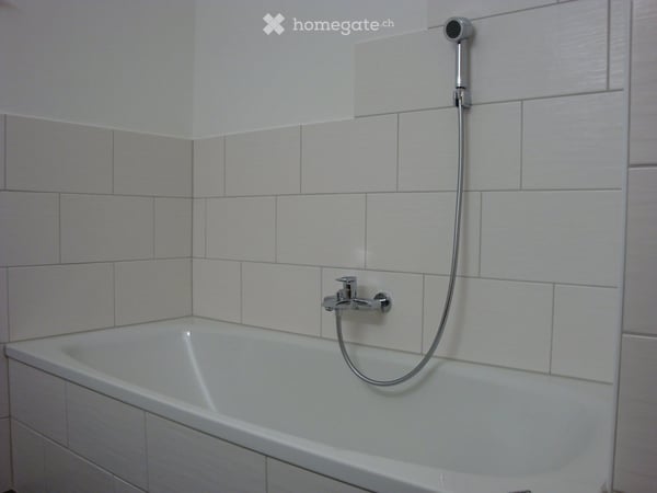 4 1/2-Zimmerwohnung (120 m²) mit Panorama-Fernsicht 8